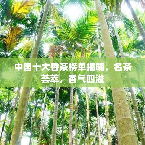 中國十大香茶榜單揭曉，名茶薈萃，香氣四溢