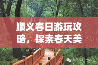 順義春日游玩攻略，探索春天美景，盡享愜意時(shí)光！