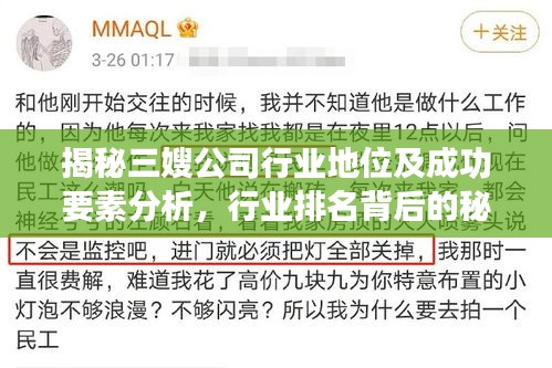 揭秘三嫂公司行業(yè)地位及成功要素分析，行業(yè)排名背后的秘密！