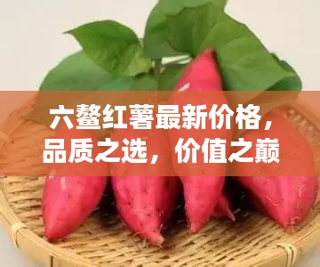 六鰲紅薯最新價(jià)格，品質(zhì)之選，價(jià)值之巔