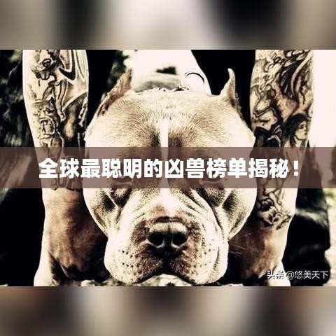 全球最聰明的兇獸榜單揭秘！
