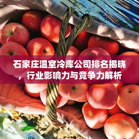 石家莊溫室冷庫公司排名揭曉，行業(yè)影響力與競爭力解析