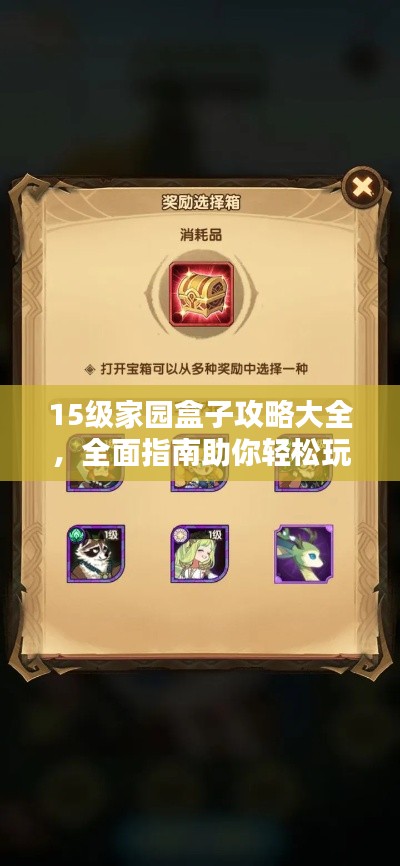 15級家園盒子攻略大全，全面指南助你輕松玩轉(zhuǎn)！