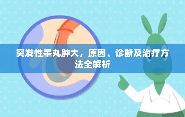 突發(fā)性睪丸腫大，原因、診斷及治療方法全解析