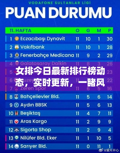 女排今日最新排行榜動態(tài)，實時更新，一睹風采！