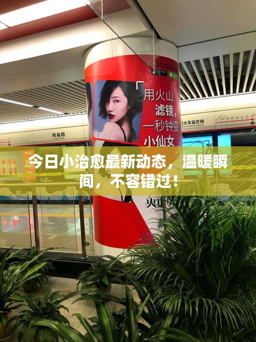 今日小治愈最新動態(tài)，溫暖瞬間，不容錯過！