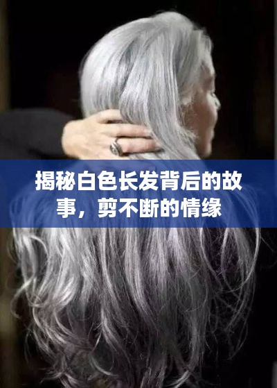 揭秘白色長發(fā)背后的故事，剪不斷的情緣
