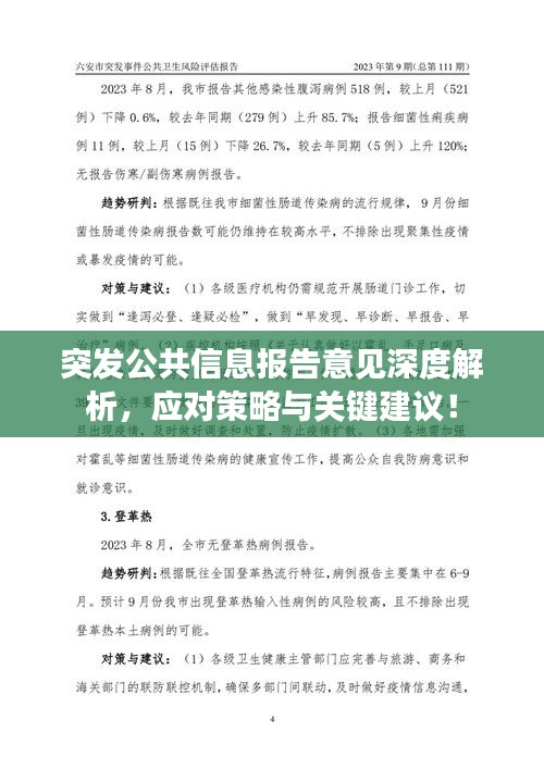 突發(fā)公共信息報(bào)告意見(jiàn)深度解析，應(yīng)對(duì)策略與關(guān)鍵建議！