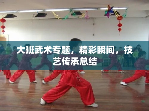 大班武術(shù)專題，精彩瞬間，技藝傳承總結(jié)