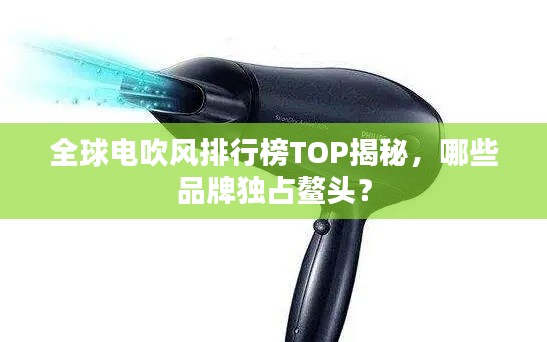 全球電吹風(fēng)排行榜TOP揭秘，哪些品牌獨占鰲頭？