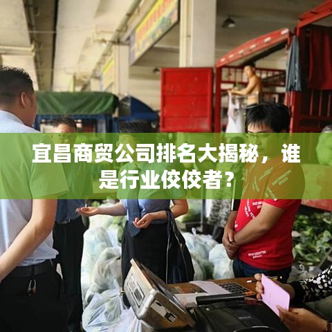 宜昌商貿(mào)公司排名大揭秘，誰是行業(yè)佼佼者？