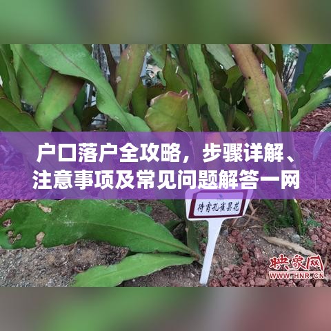 戶口落戶全攻略，步驟詳解、注意事項及常見問題解答一網(wǎng)打盡！