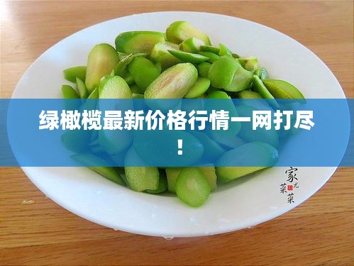 綠橄欖最新價(jià)格行情一網(wǎng)打盡！