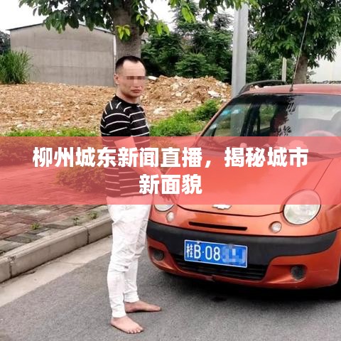 柳州城東新聞直播，揭秘城市新面貌