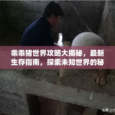 乖乖豬世界攻略大揭秘，最新生存指南，探索未知世界的秘訣