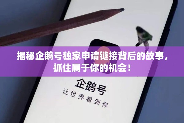 揭秘企鵝號獨家申請鏈接背后的故事，抓住屬于你的機會！
