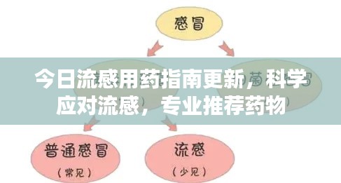 今日流感用藥指南更新，科學(xué)應(yīng)對流感，專業(yè)推薦藥物