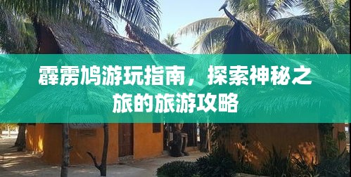 霹靂鳩游玩指南，探索神秘之旅的旅游攻略