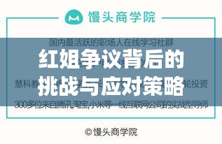 紅姐爭議背后的挑戰(zhàn)與應(yīng)對策略，公眾人物的必修課