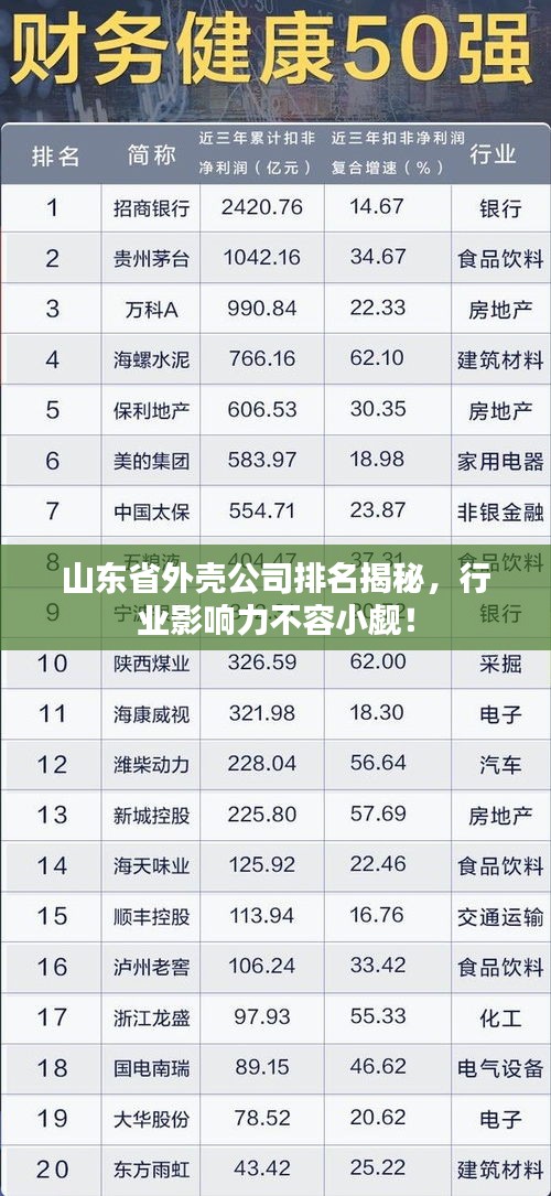 山東省外殼公司排名揭秘，行業(yè)影響力不容小覷！