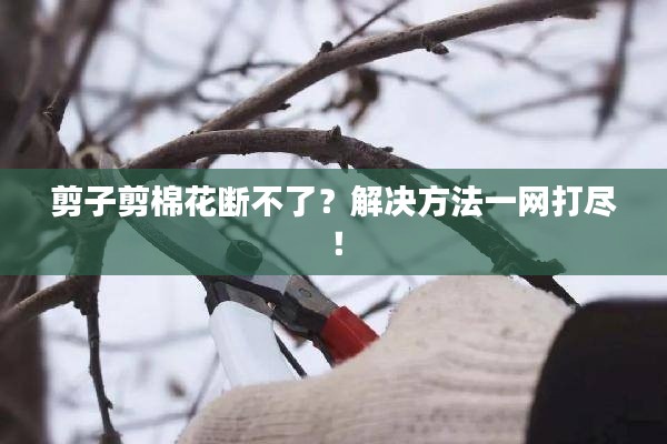 剪子剪棉花斷不了？解決方法一網(wǎng)打盡！