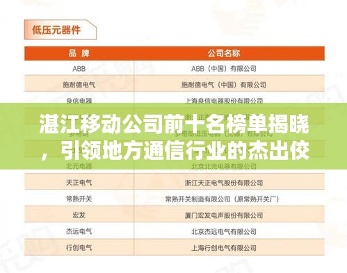 湛江移動(dòng)公司前十名榜單揭曉，引領(lǐng)地方通信行業(yè)的杰出佼佼者