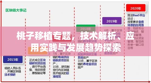 桃子移植專題，技術(shù)解析、應(yīng)用實(shí)踐與發(fā)展趨勢探索