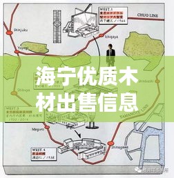 海寧優(yōu)質(zhì)木材出售信息，最新動(dòng)態(tài)一網(wǎng)打盡