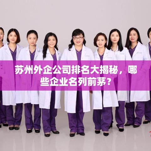 蘇州外企公司排名大揭秘，哪些企業(yè)名列前茅？