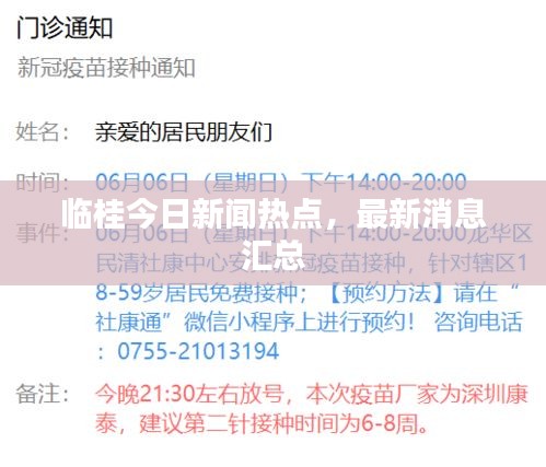 臨桂今日新聞熱點(diǎn)，最新消息匯總