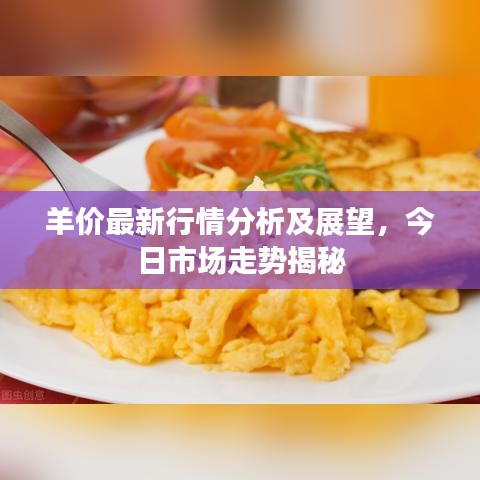 羊價(jià)最新行情分析及展望，今日市場走勢揭秘