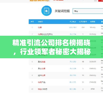 精準(zhǔn)引流公司排名榜揭曉，行業(yè)領(lǐng)軍者秘密大揭秘！