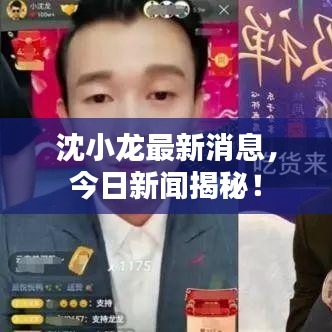 沈小龍最新消息，今日新聞揭秘！