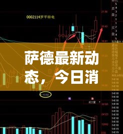 薩德最新動態(tài)，今日消息更新揭秘！