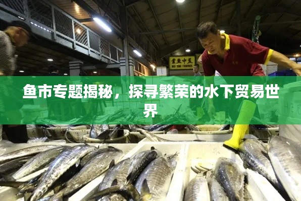 魚(yú)市專(zhuān)題揭秘，探尋繁榮的水下貿(mào)易世界