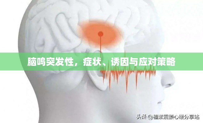 腦鳴突發(fā)性，癥狀、誘因與應(yīng)對(duì)策略