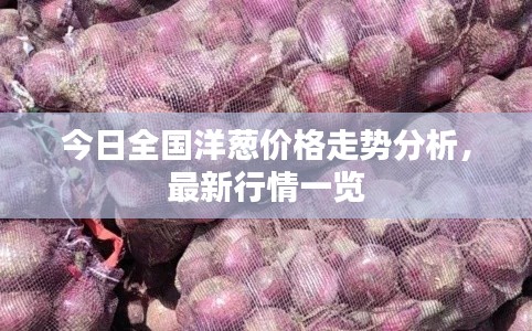 今日全國(guó)洋蔥價(jià)格走勢(shì)分析，最新行情一覽