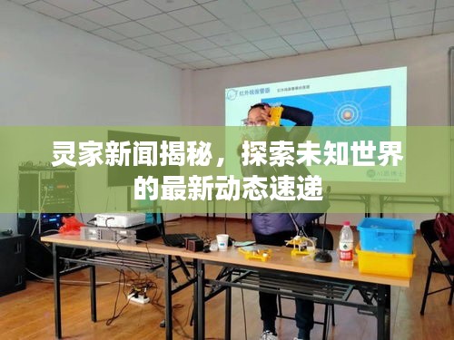 靈家新聞揭秘，探索未知世界的最新動(dòng)態(tài)速遞
