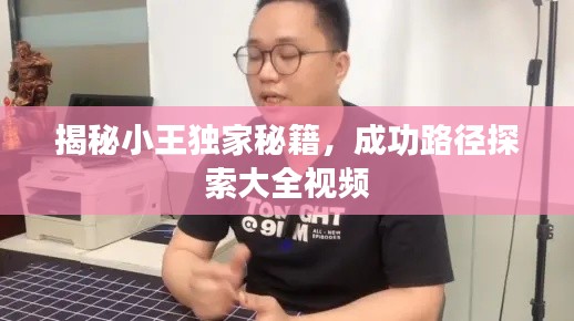 揭秘小王獨(dú)家秘籍，成功路徑探索大全視頻