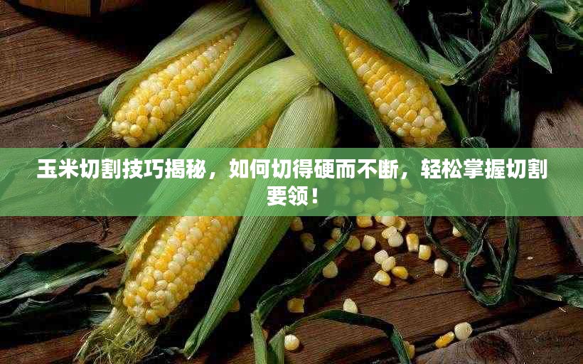 玉米切割技巧揭秘，如何切得硬而不斷，輕松掌握切割要領(lǐng)！