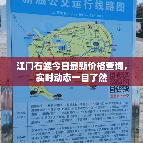 江門石螺今日最新價(jià)格查詢，實(shí)時(shí)動(dòng)態(tài)一目了然