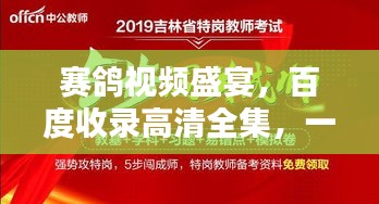 賽鴿視頻盛宴，百度收錄高清全集，一睹為快！