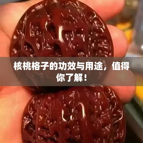 核桃格子的功效與用途，值得你了解！