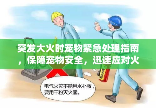 突發(fā)大火時(shí)寵物緊急處理指南，保障寵物安全，迅速應(yīng)對(duì)火災(zāi)！