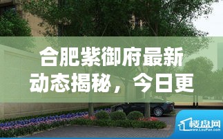合肥紫御府最新動態(tài)揭秘，今日更新消息！