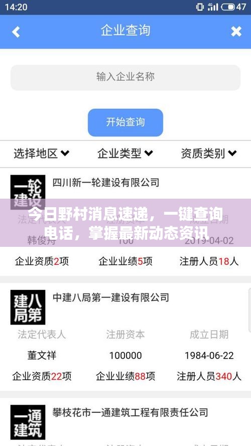 今日野村消息速遞，一鍵查詢電話，掌握最新動態(tài)資訊