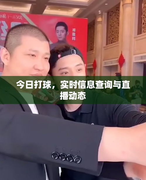 今日打球，實時信息查詢與直播動態(tài)