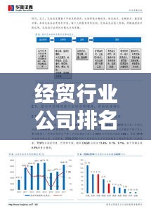 經(jīng)貿(mào)行業(yè)公司排名大揭秘，深度解析企業(yè)影響力！