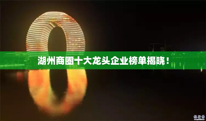 湖州商圈十大龍頭企業(yè)榜單揭曉！
