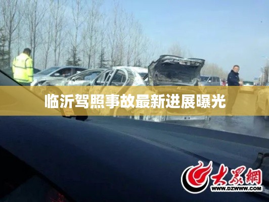 臨沂駕照事故最新進展曝光